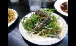 魚皮