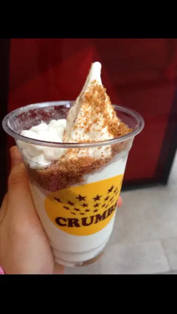 regular froyo with 2 toppings