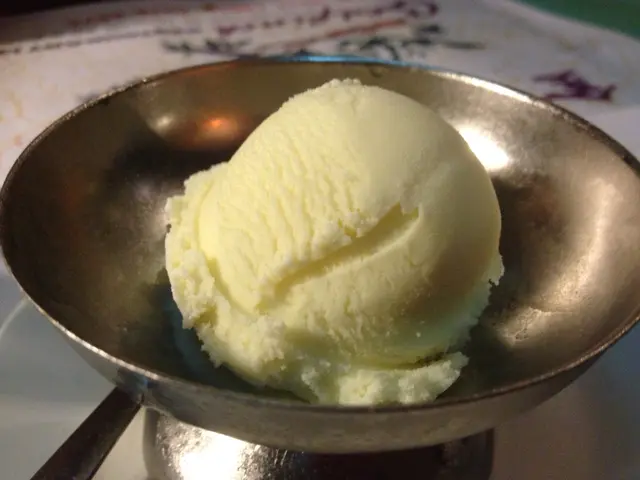 令我想起細個食花園餐廳時嘅紅豆醬雪糕，好味！