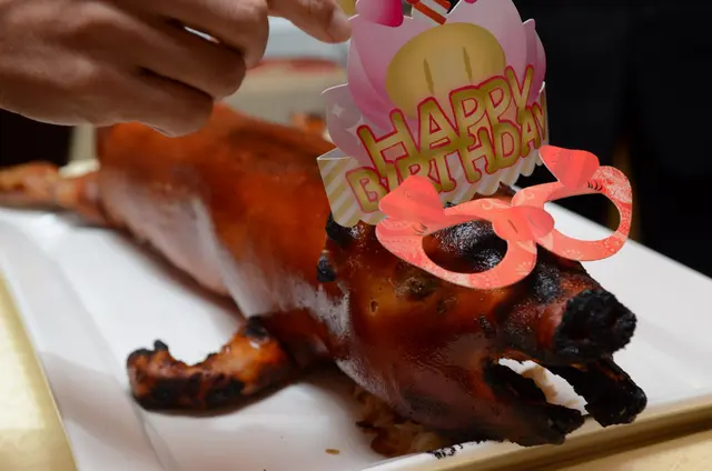 生日豬...