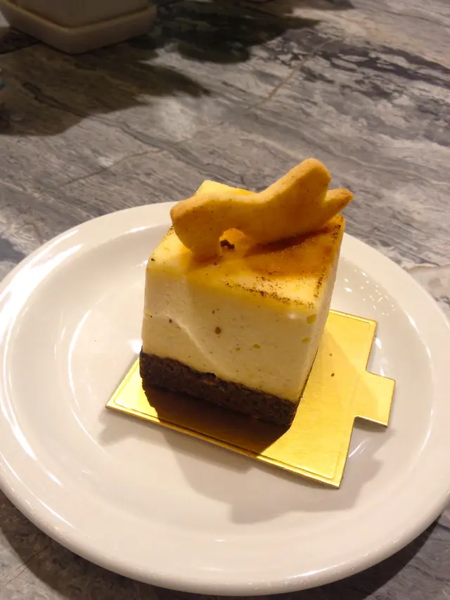Baked cheese and chocolate cake