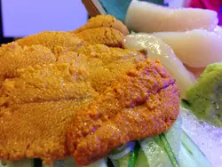 加拿大海胆