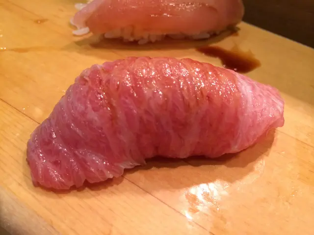 大吞拿魚