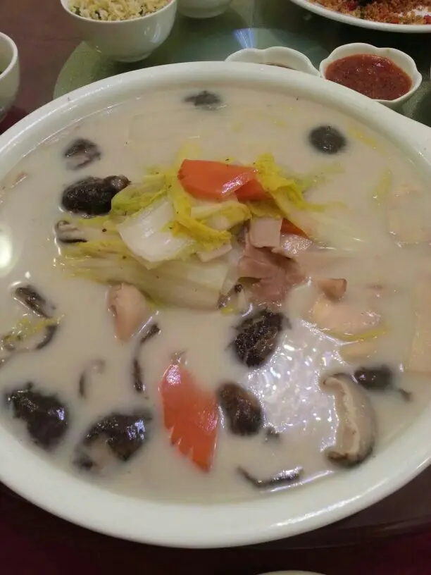 魚湯雜菌