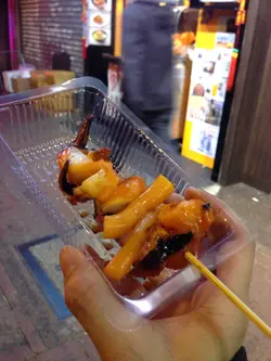 墨鱼
