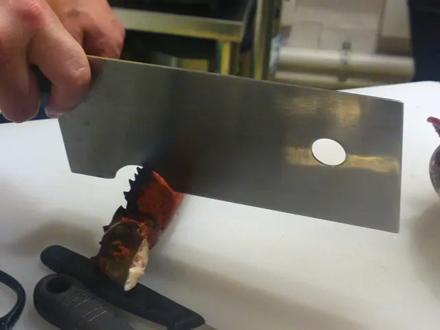 特製的刀作開龍蝦鉗