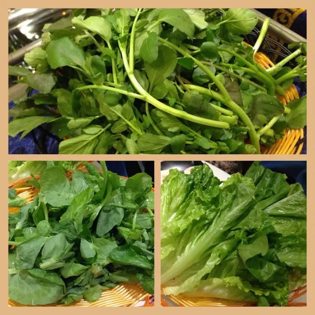 西洋菜、豆苗、生菜