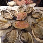 Oysters!!