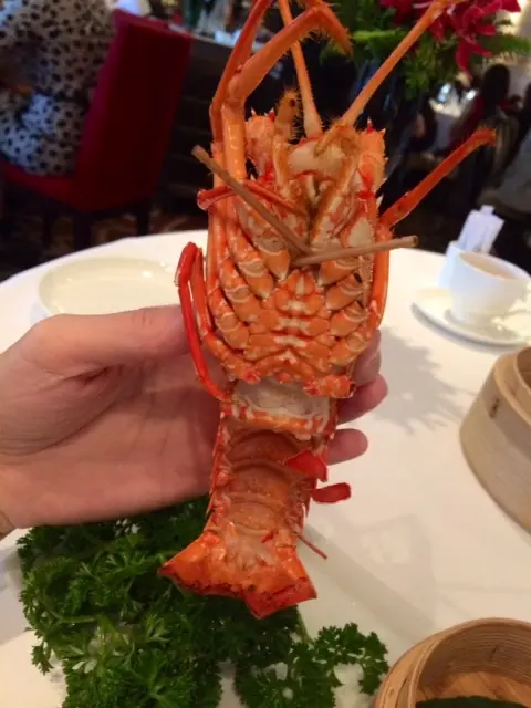 去肉後的龍蝦殼