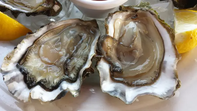 Scottish Rock Oysters