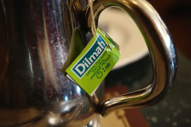 茉莉綠茶 - 帝瑪（Dilmah）品牌