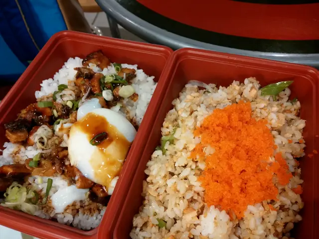 溫泉蛋鰻魚飯,三文魚蟹籽炒飯