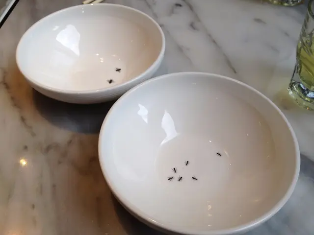 假如我衝動一點，就會尖叫起來