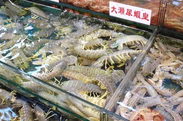 泰國瀨尿蝦皇