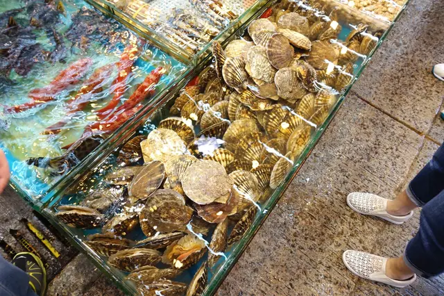 大扇貝