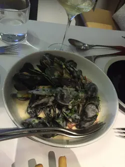 Blue Mussels