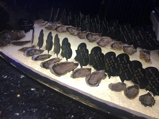 十幾款生蠔任選