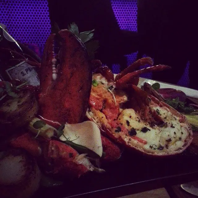 Whole Fresh New Brunswick Lobster