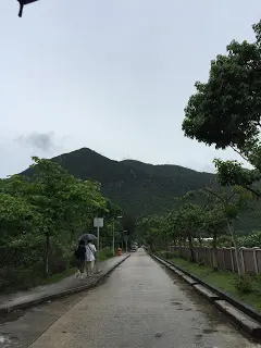 沿著大路走