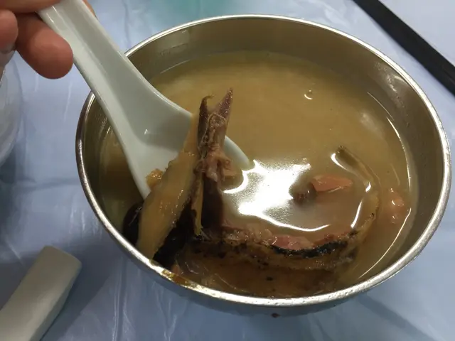 海龍海馬花膠湯