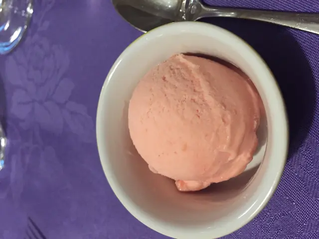 Sorbet