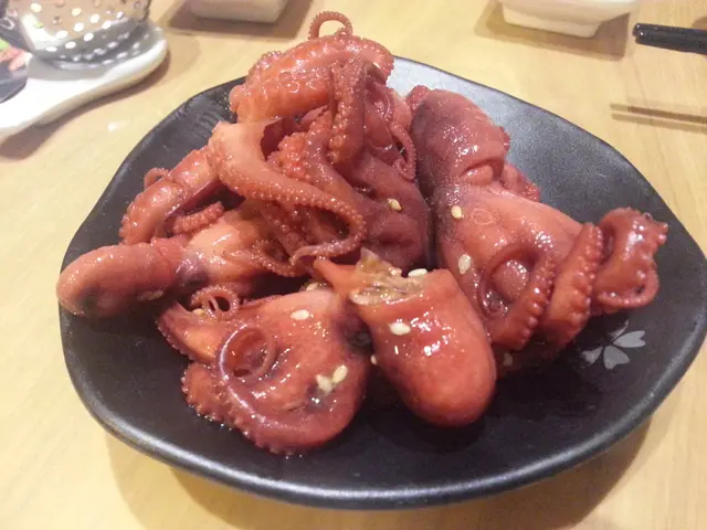 八爪魚