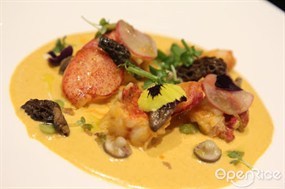 Braise Boston Lobster (Morel, Edamame, Shimeji Mushroom, Sea Urchin) - 灣仔的Cima Fine Dining Bar