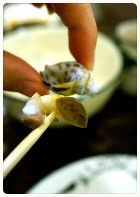 花螺配田園蔬菜