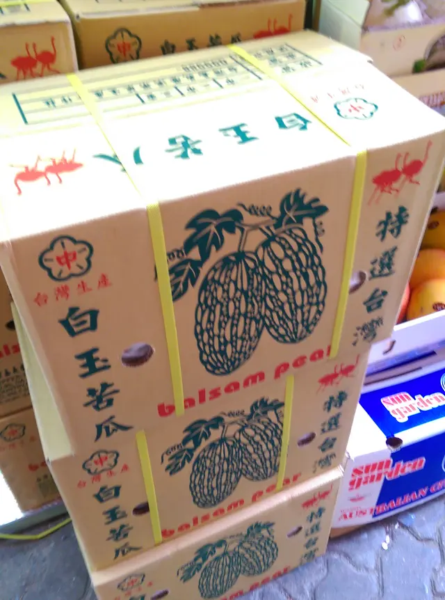 以台灣白苦瓜即榨白苦瓜汁！