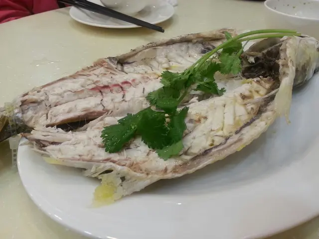 烏頭魚