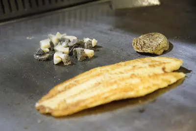 龍脷魚