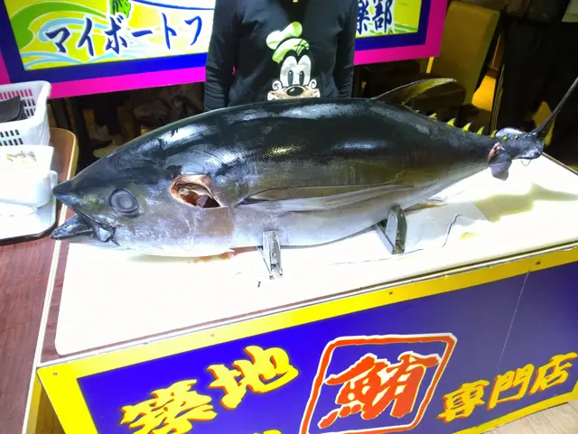 藍鯺吞拿魚
