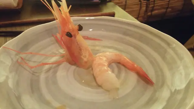 甜蝦只是普通大小