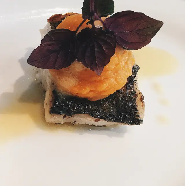 – Seared Hake Fillet w/ carrot puree & citrus butter