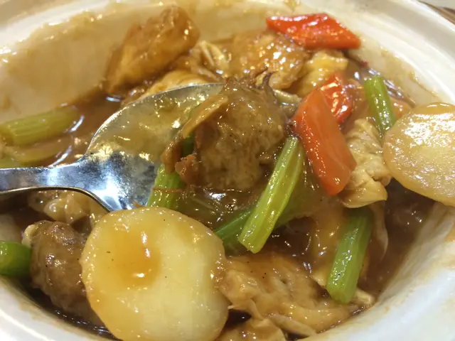 咖哩素羊腩枝竹煲