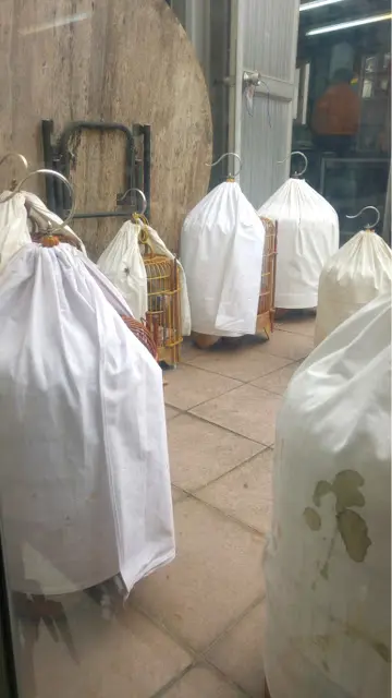 一籠籠的相思畫眉高高掛