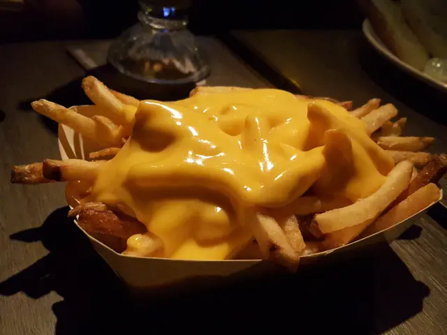 Melt Cheese Fries