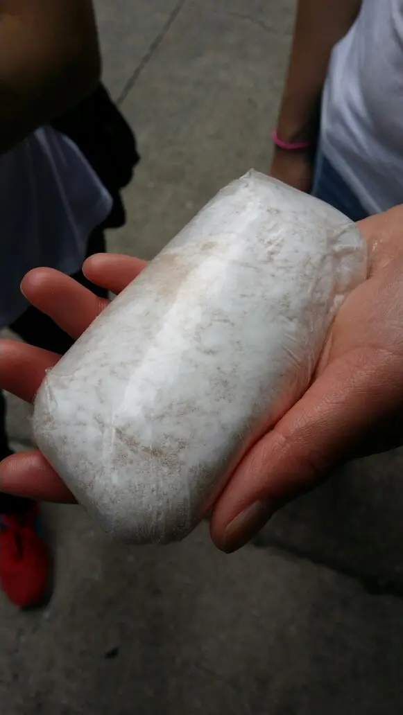 珍寶芒果糯米滋