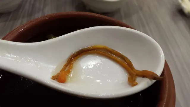 燉湯