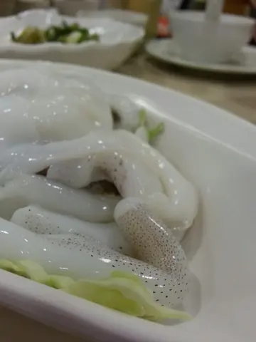 一鱿鱼