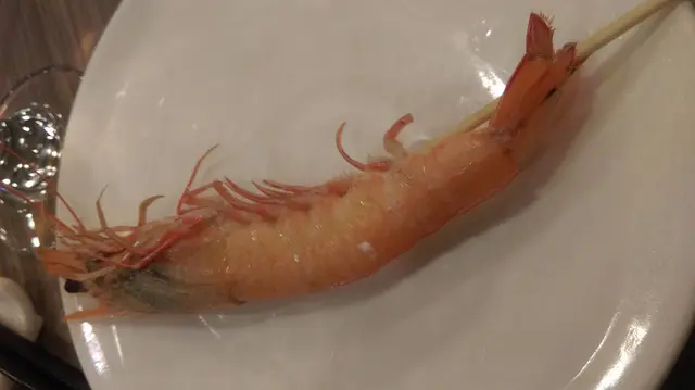海中蝦