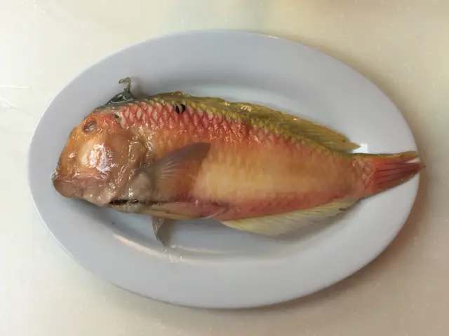 皮磷爽口魚質鮮甜!