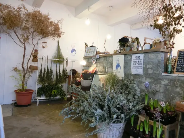 店內充滿盆栽，鳥語花香