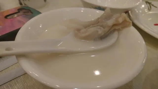 杏汁豬肺湯