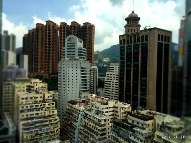 遠眺鬧市的景色