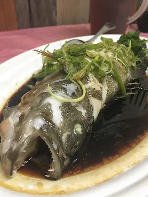 魚肉是剛剛好熟和離骨, 肉質超級滑嫩有點魚香, 又不會腥, 吃出鮮味, 加上有點甜的蒸魚豉油, 口感一流!