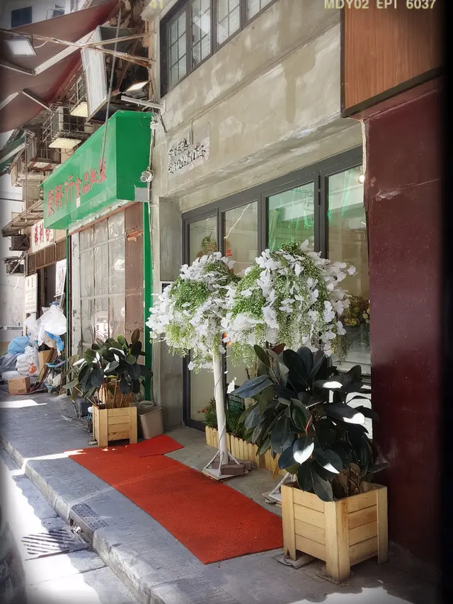 門前兩棵白色洋紫荊樹