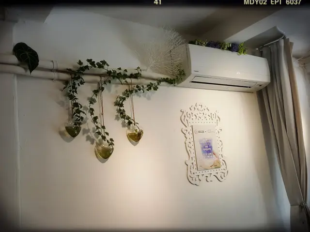 冷氣機頂都以綠葉綑邊