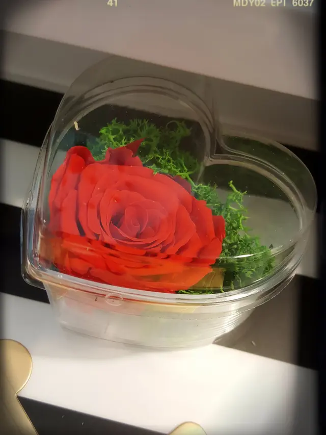 「百分百感激」（紅色永恆玫瑰）