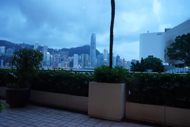 望出去是維港景色